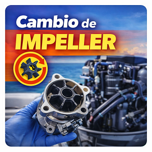 Cambio impeller bomba agua