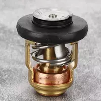 Termostatos - Motores Marinos